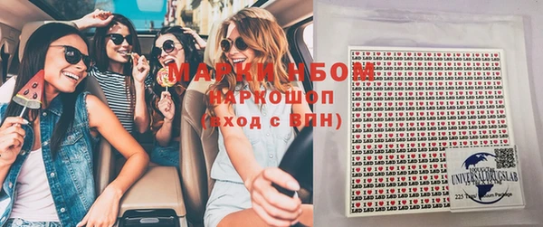 гашик Богородск