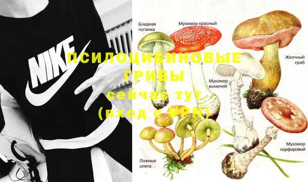 стаф Пестово