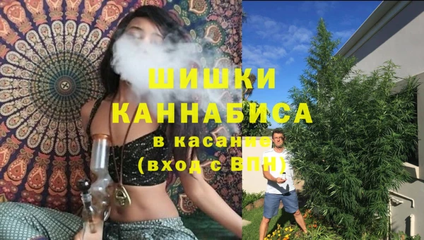 стаф Пестово