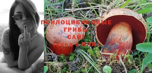 ГАЛЛЮЦИНОГЕННЫЕ ГРИБЫ Пересвет