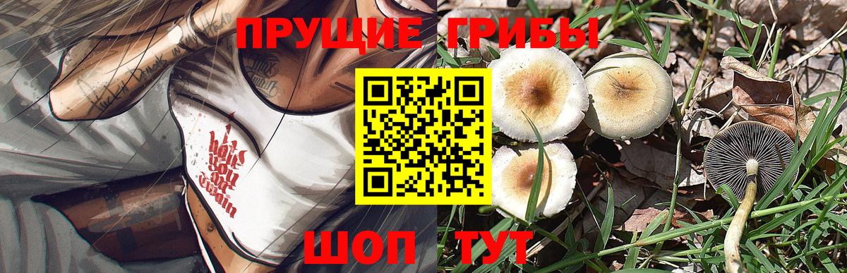 Галлюциногенные грибы Magic Shrooms Мирный