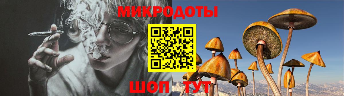 Галлюциногенные грибы Psilocybine cubensis  Псилоцибиновые грибы мицелий  Мирный 