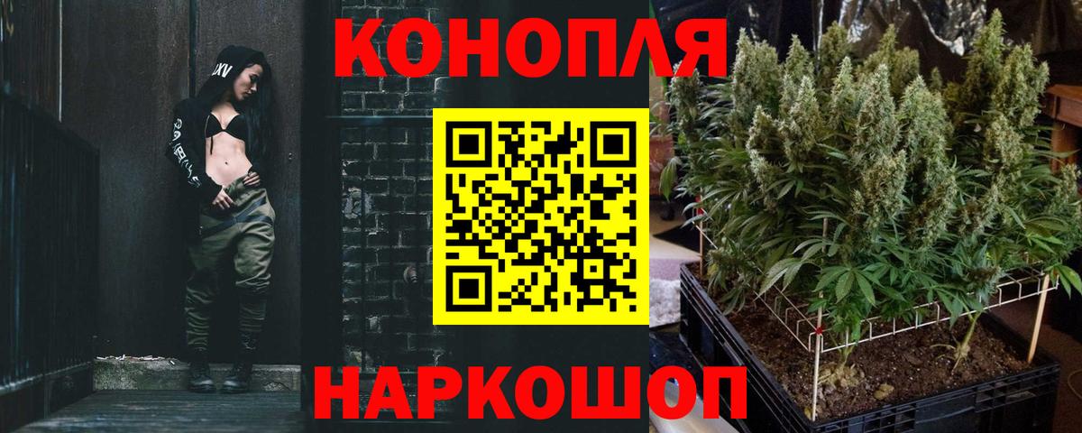 Шишки марихуана Amnesia  Марихуана план  Мирный  МАРИХУАНА Bruce Banner 