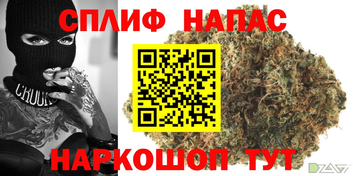 Конопля MAZAR Мирный